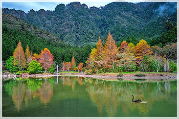 明池森林遊樂區